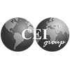 CEI Group